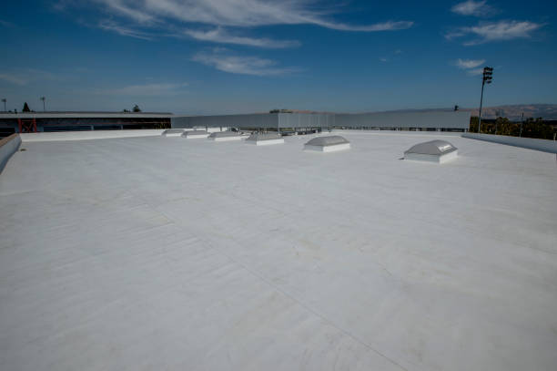 Best Cold Roofs  in Coalfield, TN