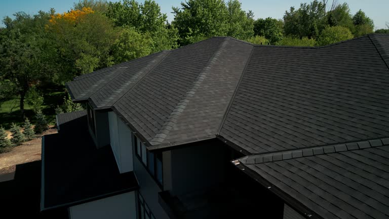 Best Roof Maintenance and Cleaning  in Coalfield, TN