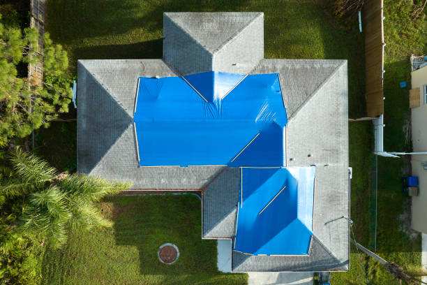 Best Roof Inspection  in Coalfield, TN