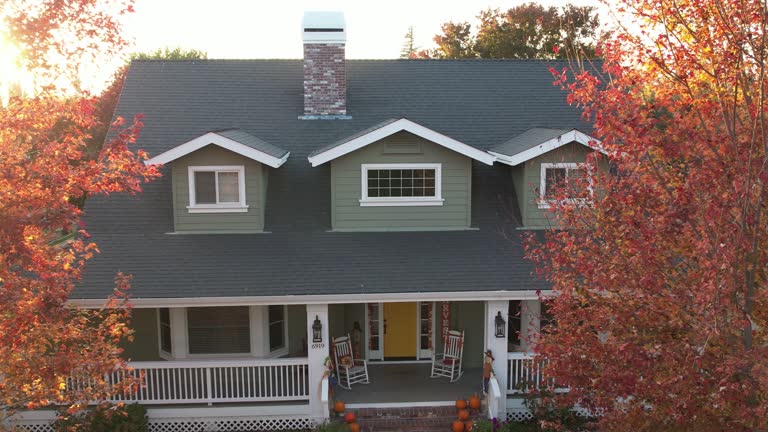 Best Gutter Installation and Repair  in Coalfield, TN
