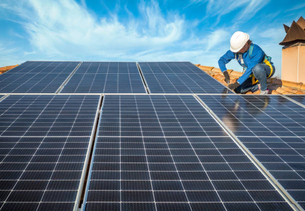 Best Skylight Installation and Repair  in Coalfield, TN